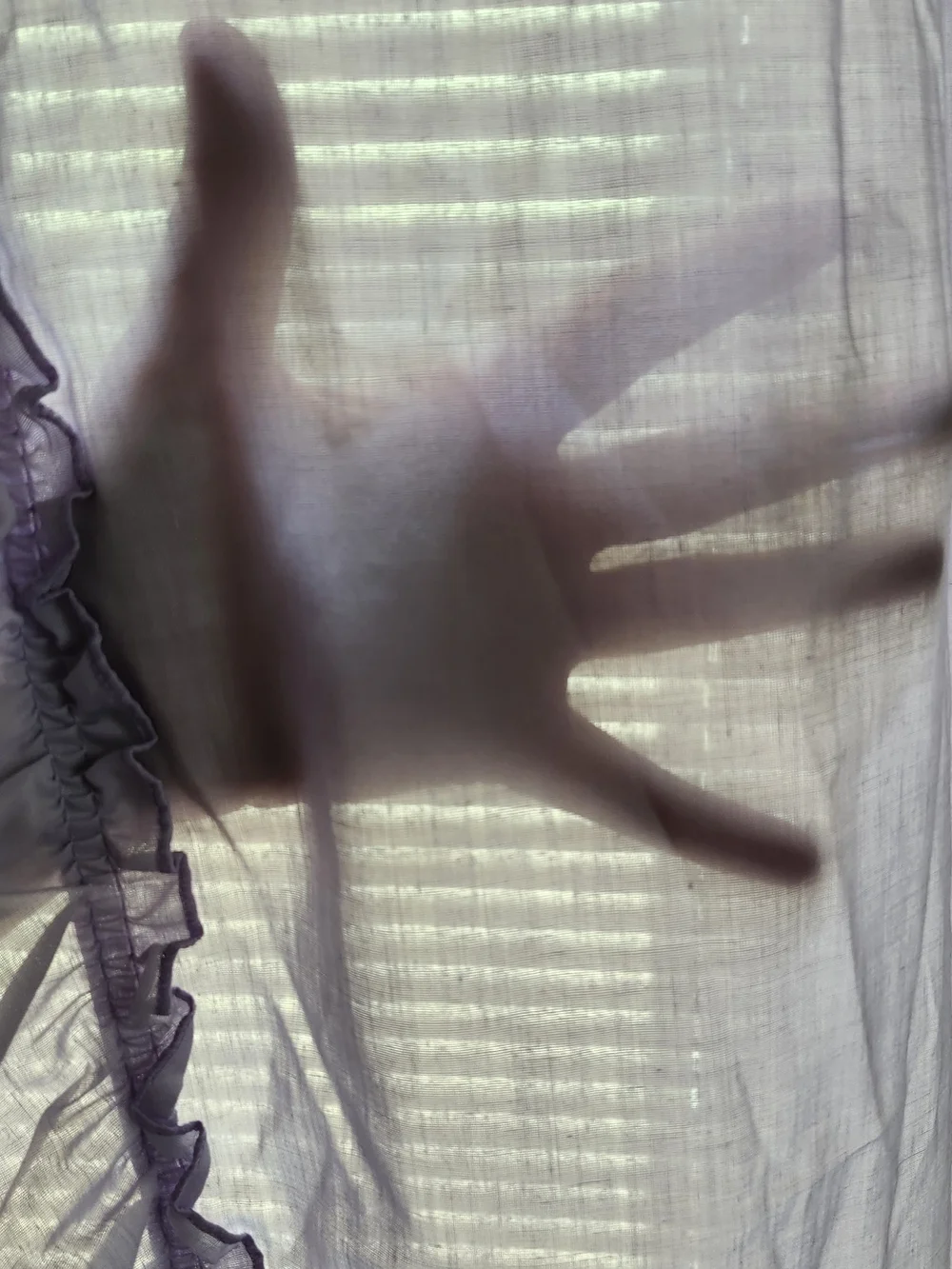 Lavender Ruffled Sheer Window Curtain Panel - Unbranded